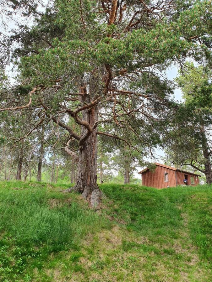 Borkhushyttene Villa Rundtom Екстериор снимка